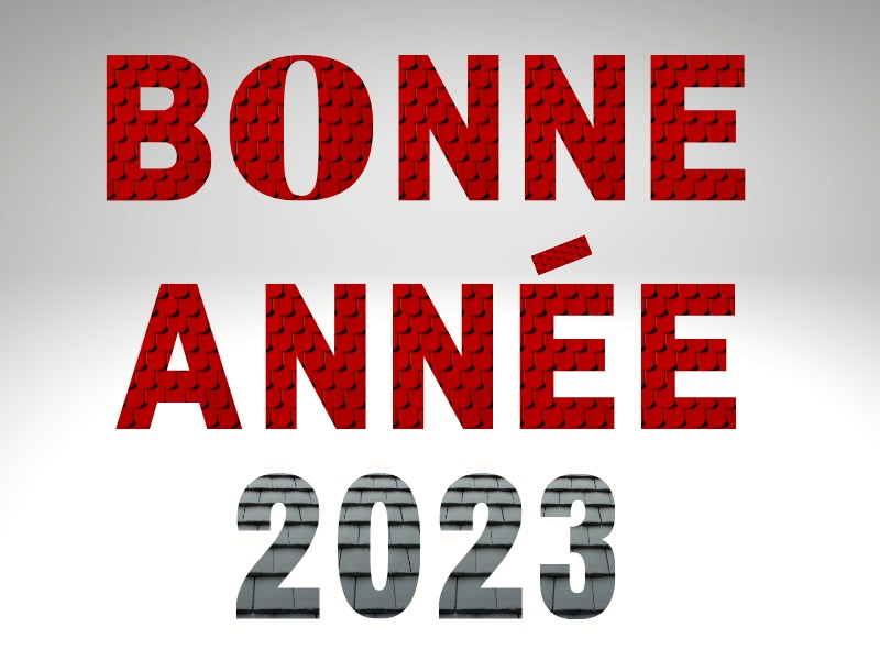 Bonne année-James Couverture